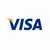 AbuKing Casino - Visa Payment Method